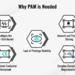 PAM Systems: The Ultimate Shield for Securing Privileged Access